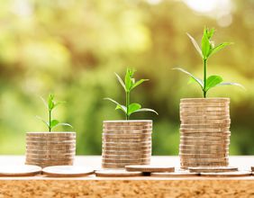 RCK, SVA, AFE, AMC & OYL: 5 TSXV smallcap stocks to watch in Q3 2022