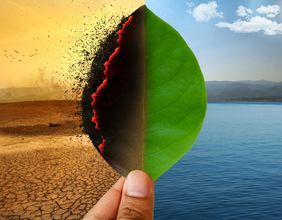 Focus on renewables, EVs: Inside Albanese govt climate plans
