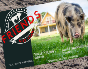 Little Bear Sanctuary Announces Innovative Vegan Sitcom Pilot to be Filmed On Location in Florida