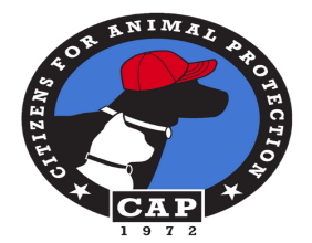 Citizens for Animal Protection and Make-A-Wish Texas Gulf Coast and Louisiana Join Forces to Grant a Remarkable Wish