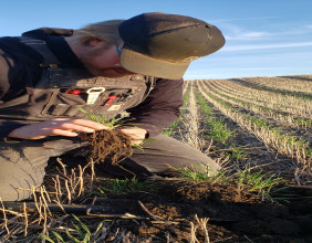 Regenified™ Expands to Canada with Axten Family Farms Leading the Way in Regenerative Agriculture