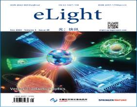 Vectorial adaptive optics: correcting both polarization and phase