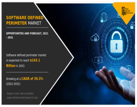 Software Defined Perimeter Market Expected to Reach $143.1 Billion by 2031 Report By AMR