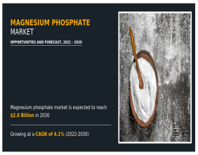 Magnesium Phosphate Market Growth Insights, Trends and Forecast to 2030