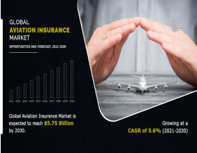 Aviation Insurance Market Global Opportunity Analysis and Industry Forecast, 2021–2030 | LLC., Tokio Marine Holdings