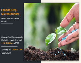 Canada Crop Micronutrients Market Size Is Expected to Reach $261.7 Million by 2027