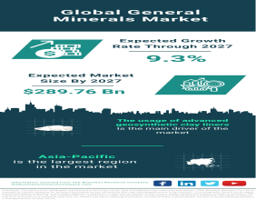 Global General Minerals Market: Robust Growth Fueled by Technological Advancements