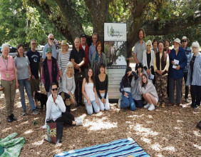 New Community Action Group in Ku-ring-gai