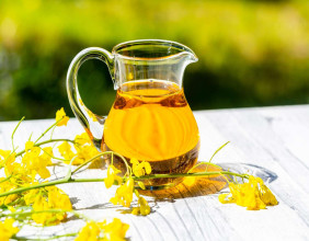 Canola Oil Market Size, Trends, Top Companies, In-Depth Analysis and Forecast 2024-2032