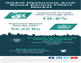 Global Hyaluronic Acid-based Dermal Fillers Market Forecast 2024-2033 – Market Size, Drivers, Trends, And Competitors