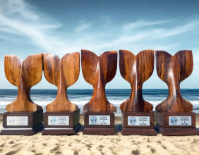33 Global shipping companies receive awards for reducing speeds off California to protect blue whales and blue skies