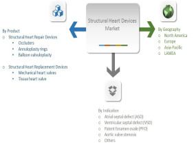 Structural Heart Devices Market Surges as Aging Population Spurs Cardiovascular Health Concerns