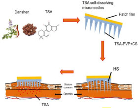 CD Formulation Introduces Microneedle Patch Innovations for Enhanced Drug Delivery Efficiency