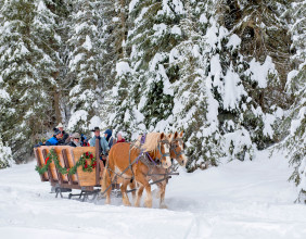 Whitefish Dude Ranch KAGEs Massive Snowfall