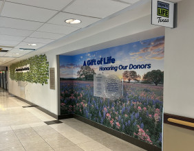 Healthcare Art Consulting & Quality Art House Celebrate Donate Life Month with Recently Completed Recognition Wall