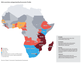 Emerging Consumer Landscapes in Sub-Saharan Africa