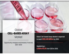 Cell-Based Assay Market: Recent Developments, Challenges and Opportunities | CAGR 8.2%