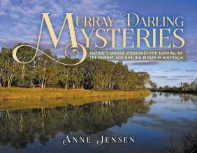 Unveiling River Secrets in