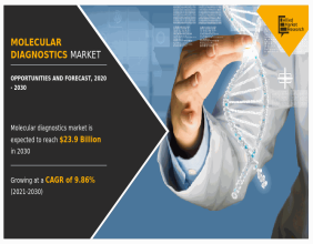 Molecular Diagnostics Market Update 2024: to Reach USD 23.9 billion by 2030, Claims AMR Report