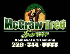 Windsor’s McGraw Tree Service, 2024 ThreeBestRatedⓇ Award Winner Explains The Important Reasons To Tree Stump Grind