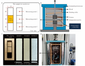 Understanding the Impact of Environmental Factors on Molded Fiber Products: New Insights
