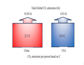 Revving up individual’s climate action: how our plates and wheels can drive down carbon emissions