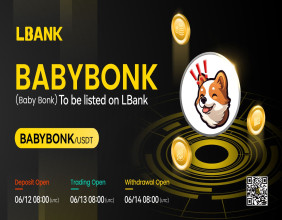 BabyBonk (BABYBONK) Is Now Available for Tranding on LBank Exchange