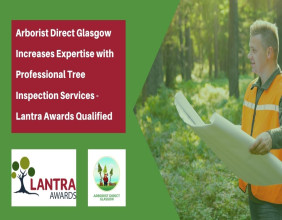 Arborist Direct Glasgow Increases Expertise with Professional Tree Inspection Services - Lantra Awards Qualified