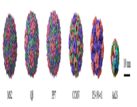 Protein Nanocages Pave the Way for Effective mRNA Therapeutics