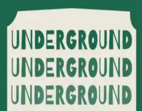 Anna D. Smith Fine Art and Real Estate Broker Unveils 'Underground Art in a Loop' Exhibition