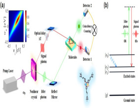 High-Speed Camera for Molecules: Entangled Photons Enabled Raman Spectroscopy