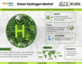 Top Green Hydrogen Market Players, Trend, & Development: What to Expect From 2024-2030