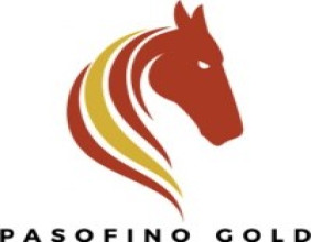 Pasofino Provides Update on Strategic Review Process