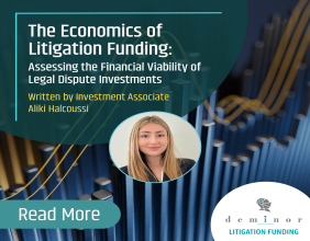The Economics of Litigation Funding: Assessing the Financial Viability of Legal Dispute Investments