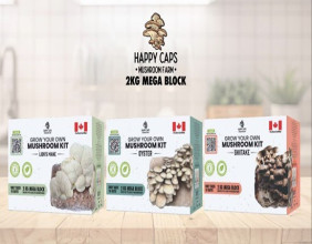 Red Light Holland Announces Increased Order from Costco Canada for Happy Caps 2kg