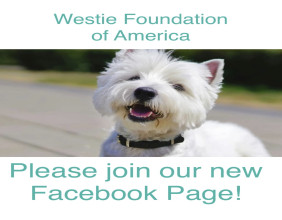 Westie Foundation of America Launches New Social Media Page