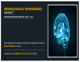 Neurological Biomarkers Market Size Projected to Reach USD 18.9 billion, Globally, by 2031 at 13.6% CAGR