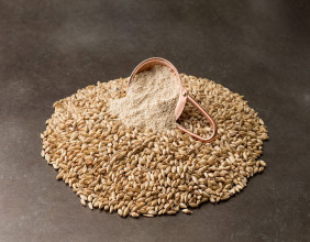 Specialty Malts Market Report, Size, Share Report 2024-2032