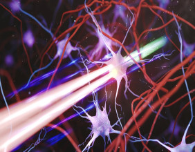 New microscope enables deep and wide neuroimaging