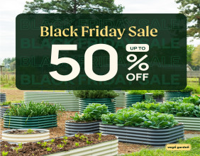 Vego Garden Unveils Black Friday Mega Sale with Unmatched Discounts on Eco-Friendly Gardening Solutions