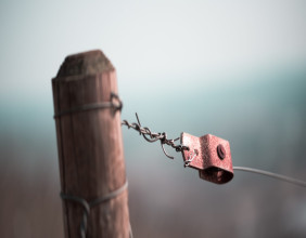 Copper slightly up post last week’s losses; China stimulus underwhelms