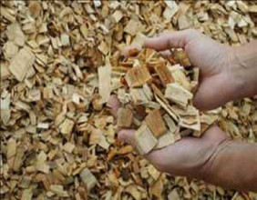 A Look at the Evolving Wood Pulp Industry