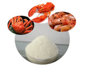 Analysis of Growth Opportunities, Key Trends, and Competitive Landscape in the Chitosan Market (2024-2033)