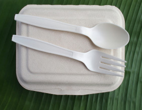 Biodegradable Plastics Market Insights: Current Status and Future Directions 2024 - 2033