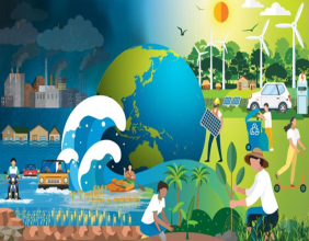 COP29 Concludes: Implications for the Asia-Pacific Region