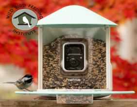 Birdfy Joins WBFI, Strengthening Commitment to Global Bird Conservation and Sustainable Feeding Solutions