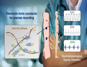 Soft Patch Electrodes Introduced for Advanced Human Body Signal Monitoring