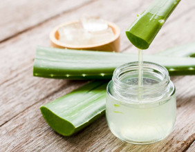 Aloe Vera Gel Market Estimation Worth $603.5 million by 2033