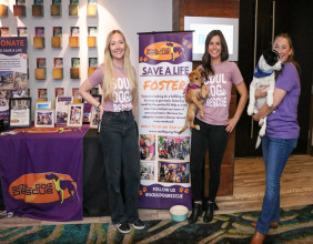 BlogPaws LiVE Gives Back: Donating to Local Shelters and Rescues