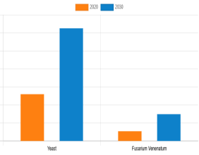 Fungal Protein Market Dynamic Growth Factors, In-Depth Analysis And Outlook By Forecast To 2030
